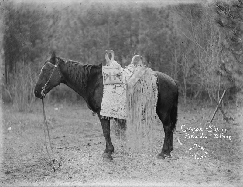 High horned saddle with hanging woven bags