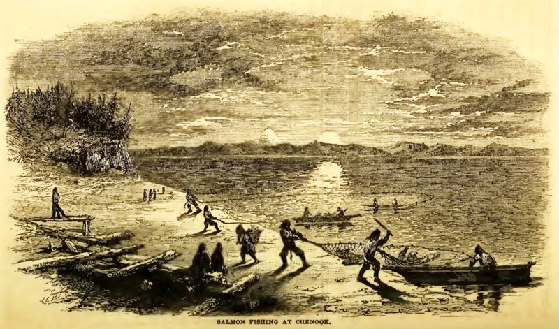 Chinook people dragging nets from canoes and the shore