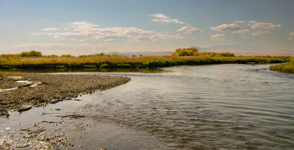 Two small rivers join in the wide-open Beaverhead Valley