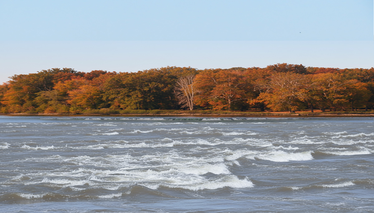 A rapid in the Ohio River generated to look like Letart Falls in 1803