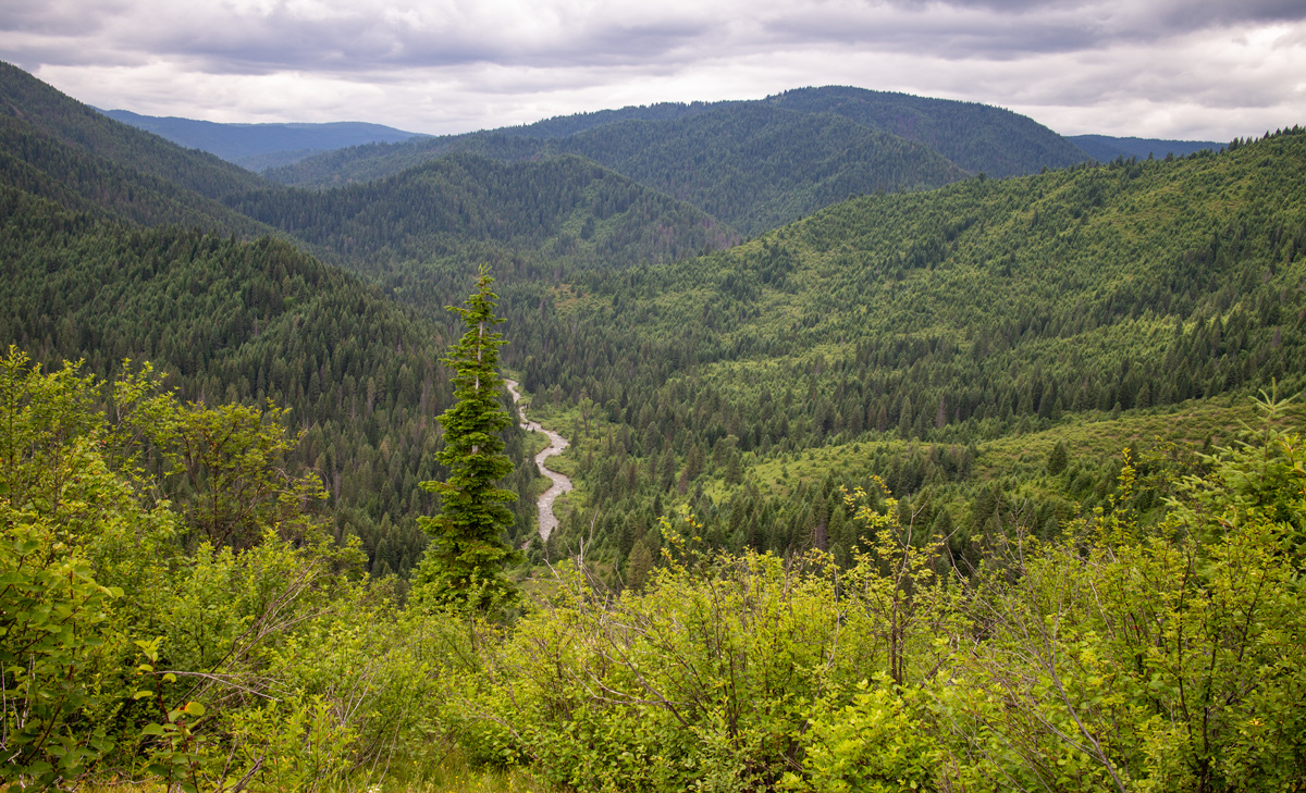A view of Hungery Creek from high up Pagoda Ridge