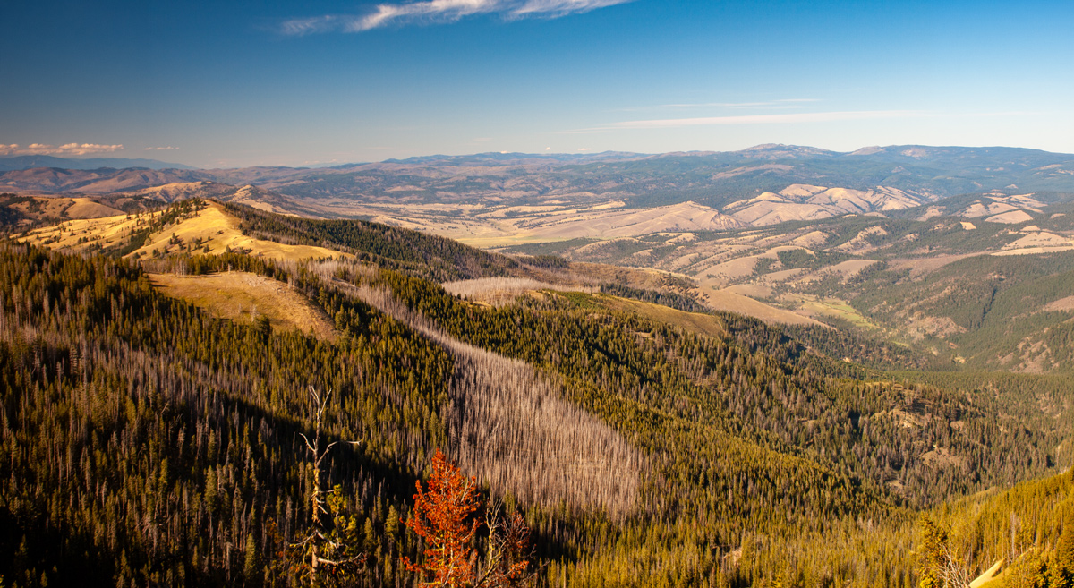mountain valleys wind down to the plain