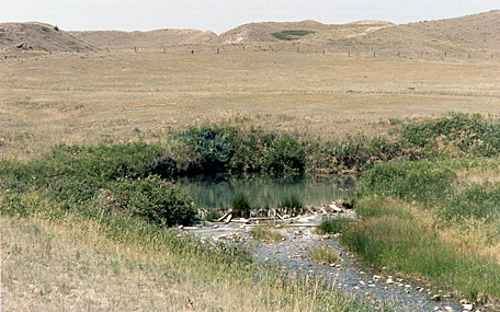 Creek flowing out of a small pond